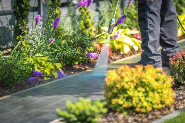 Professional Pressure Washing in Meridian Hills, IN